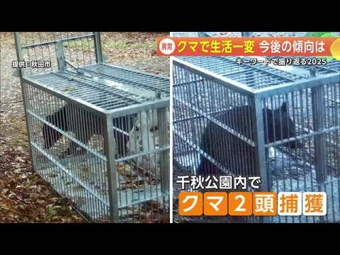 『異常』市街地へのクマ出没で生活一変　今後の動向を専門家に聞く　キーワードで振り返る2025　秋田 (25/12/18 20:00)