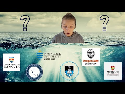 Which university for marine biology undergrad?