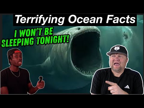 Why I’d Throat a Cactus Before I Go In The Ocean | Casual Geographic | History Teacher Reacts