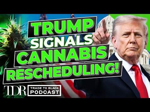 Trump Puts Cannabis Rescheduling Back in Focus | TTB Weekly Recap