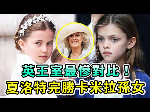 英王室最慘對比！夏洛特不愧为戴安娜孙女，基因完勝卡米拉親孫女！皇室貴族氣質真不是誰都有，卡米拉簡直自取其辱！【Boogie島】#夏洛特公主 #卡米拉 #戴安娜王妃 #凱特王妃 #查爾斯 #英王室