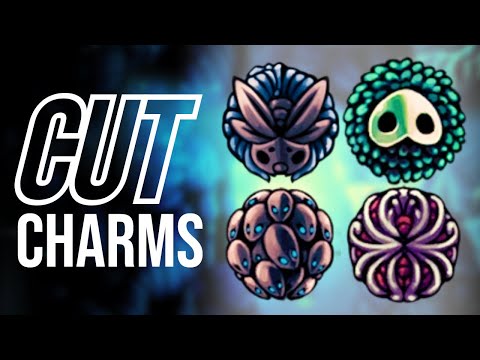 Hollow Knight's SECRET CHARMS!
