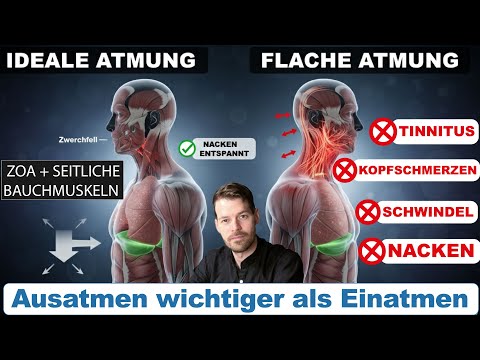 Hör auf TIEF einzuatmen! Warum diese Atem-Lüge deinen Nacken zerstört & warum ausatmen wichtiger ist