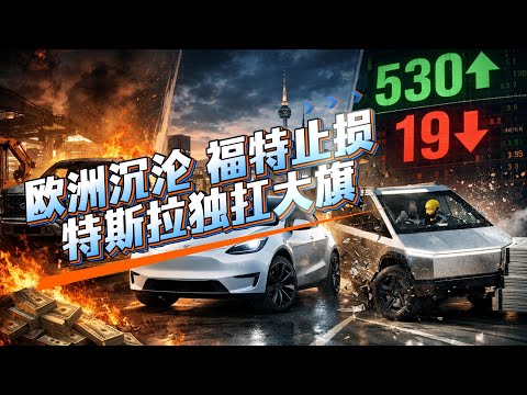 12/16｜欧盟电动化松口｜福特195亿止损｜特斯拉中韩破纪录｜Cybertruck 拿下 IIHS Top Safety Pick+ #马斯克 #美股 #特斯拉 #fsd