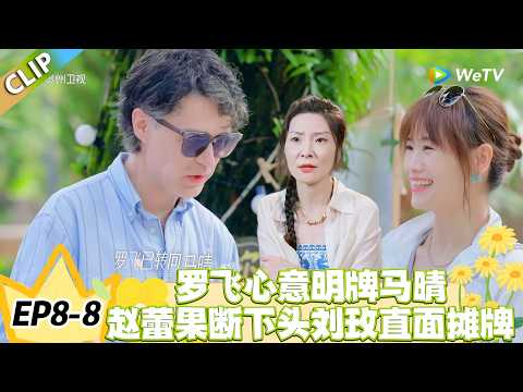 日落时分说爱你 EP8-8：罗飞心意明牌马晴，赵蕾果断下头刘玫直面摊牌！#恋综 #日落时分说爱你