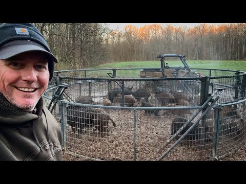 Trapping WILD HOGS through TORNADOES and FLASH FLOODS.