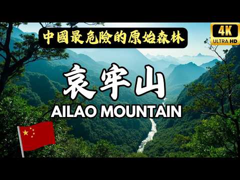 中國雲南的哀牢山，這片被當地人視為「人類禁區」的神秘山脈，究竟隱藏著什麼樣的秘密？#愛旅遊 @lovetravel8