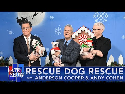 Rescue Dog Rescue with Anderson Cooper & Andy Cohen