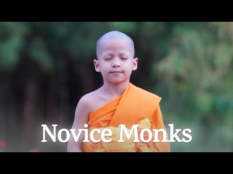How to Train Oneself | The Life of NOVICE Monks