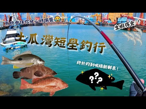 【土瓜灣避風塘釣行】土瓜灣｜九龍城｜手竿｜釣魚｜沙蝦｜岸釣｜潮退｜釣點｜釣具｜青蟲｜烏絲 ｜紅鮋｜火點｜石祟｜細鱗｜散石｜斷駁｜步兵｜新郵票｜避風塘｜防波堤