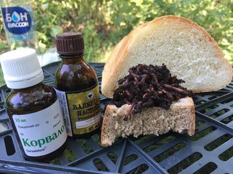 ИСПЫТАНИЕ НОВЫХ ПРИМАНОК НА РАКА В РАКОЛОВКУ. ЛОВЛЯ РАКОВ РАКОЛОВКАМИ. РАКОЛОВКА. РАКОЛОВКИ