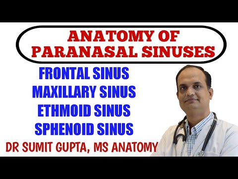PARANASAL SINUSES : ANATOMY