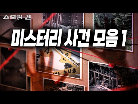 의문과 의혹에 휩싸인 미스터리한 사건들 [스모킹 건 몰아보기]