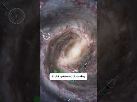 Space Marine Aspirants Explained