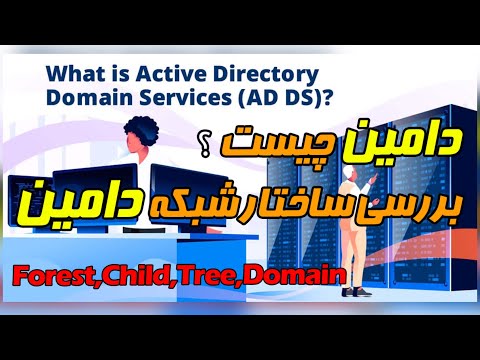 دامین‌ چیست ؟ بررسی ساختار فارست در شبکه های دامین