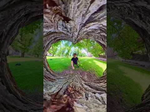 Insta360 X5 Tree Tunnel Idea 🌲 #insta360 #360video #insta360x5
