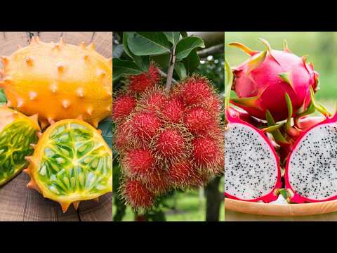 15 Strange and Exotic Fruits from Around the World