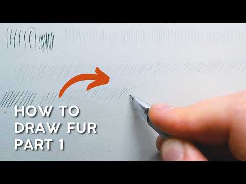 How To Draw Fur - A Complete Beginners Guide Part 1