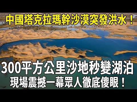 中國塔克拉瑪幹沙漠突發洪水，300平方公里沙地秒變湖泊，現場震撼一幕眾人徹底傻眼！#科普 #國際觀點 #沙漠 #大熱門