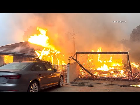 Palisades Fire Day Two