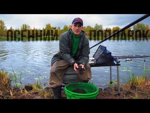 Как поймать больше, чем соседи? Делимся поплавочными секретами!