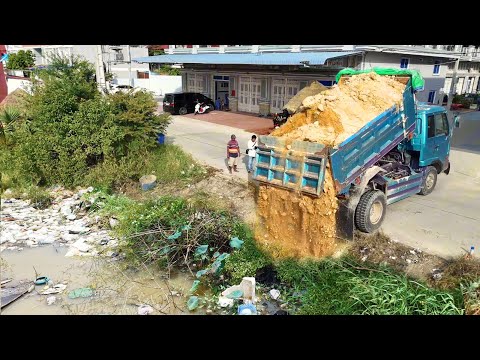  Started A New Project! Dump Truck Filling Land Flood Area,Expert Skill Bulldozer D20P Pushing Soil 