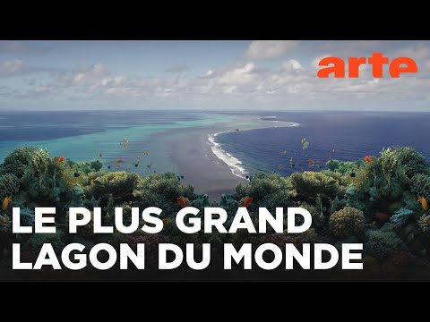 Le grand lagon de Nouvelle-Calédonie | L'histoire secrète des paysages | ARTE Family