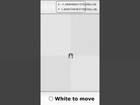 when they move to 10^301 #chess #infinitechess