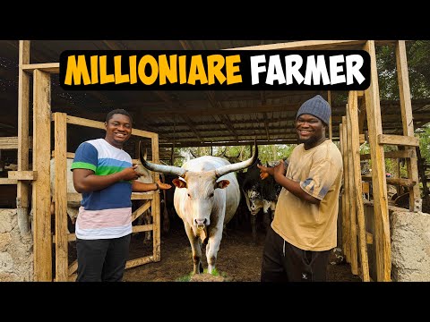 How a 27 Year Old Ghanaian is Building the country’s Largest Semi-Intensive Cattle Farm #cattle