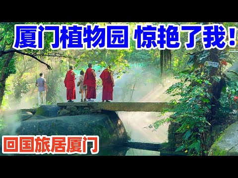 【回国旅居厦门】幸好去了厦门植物园! 5A景区热带雨林园轻雾缭绕, 美得连不爱植物的人都喜欢! 厦门旅游! 厦门景点! 厦门! 厦门自由行! Xiamen Botanical Garden!
