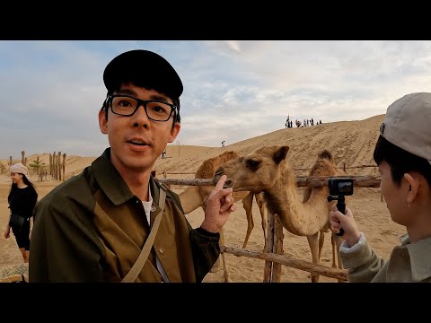 在杜拜沙漠度過的一天：餵養駱駝、營地烤肉、觀賞夜空的星星【阿滴日常】