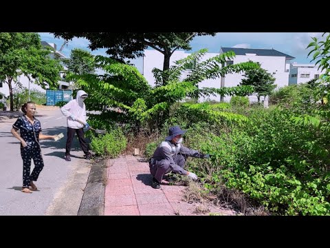 The kind aunt gave $5 for lunch while cleaning the sidewalk that was completely covered with plants