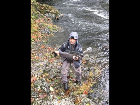 РЫБАЛКА НА ЛОСОСЯ, ОСЕННЯЯ ЧАВЫЧА И СБОР ГРИБОВ В США
