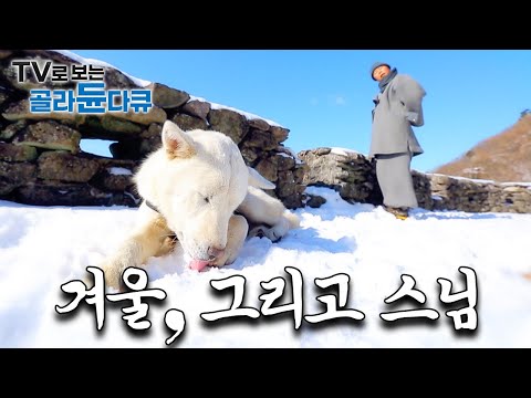 폭설에 고립된 산 속, 외롭지만 견뎌내며 홀로 지내는 겨울 스님들 모아보기｜한국기행｜#골라듄다큐