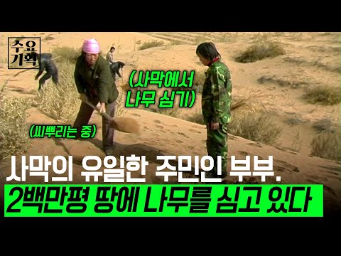 [수요기획] 생존을 위협할 정도의 모래바람 속에 살고 있는 한 부부. 오로지 살기 위해 200만평을 임대받아 나무를 심고 있다ㅣKBS 2006.04.05
