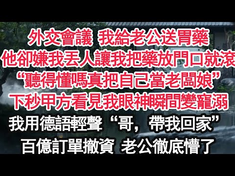 外交會議 我給老公送胃藥他卻嫌我丟人讓我把藥放門口就滾“聽得懂嗎真把自己當老闆娘”下秒甲方看見我眼神瞬間變寵溺我用德語輕聲“哥，帶我回家”百億訂單撤資 老公徹底懵了【顧亞男】【大女主】【婚姻自主】
