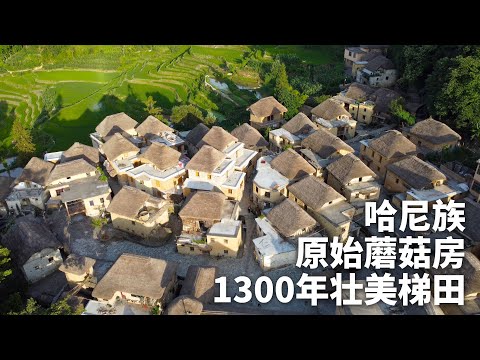 云南原始古村，哈尼族雕塑大山1300年，阿者科村的世界遗产哈尼梯田丨EP10村丨Unveil the Village with most Stunning Rice Terraces in China