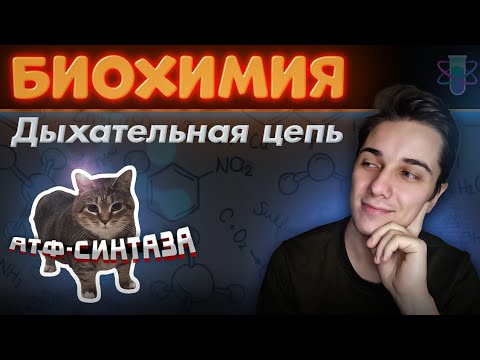 BIOCHEMISTRY COMPLETE COURSE | Lecture 3 | Respiratory Chain | Oxidative Phosphorylation