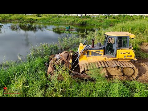 Excellent Action Mighty Shantui Huge Dozer Skills Clear and Push Making Road Goto Landfilling