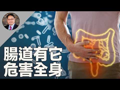 腸道「隱形廢物」危害胃腸、腎臟，甚至大脑！這樣吃，可逆轉。 ｜四維健康