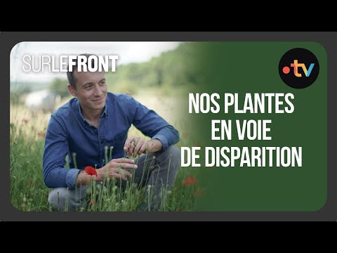 Nos plantes en voie de disparition (Intégrale) - Sur le front avec Hugo Clément