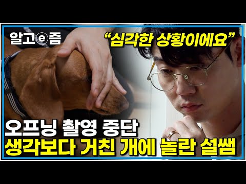 "심각한 상황인지 몰랐어요.." 화장실 까지 따라와 집착하는 3대 닥스훈트 가족 이대로는 위험하다｜세상에 나쁜 개는 없다｜알고e즘