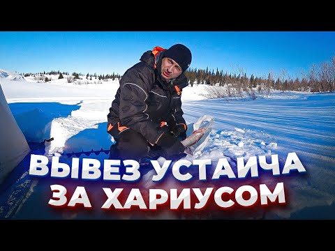 Такого клёва мы не ожидали / Рыбалка на Хариуса с другом!