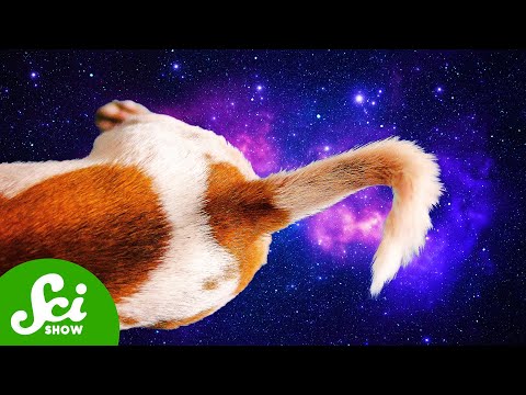 Cosmic Tails (That Aren’t From Comets)