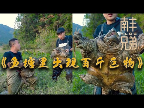 【南豐兄弟捕魚VLOG】荒廢魚塘裏出現百斤巨物,沒想到是它摸了牛尾巴..