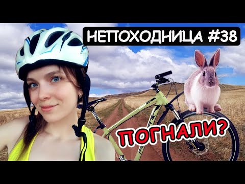 ВЕЛОПОХОД ПО ХАКАСИИ. НАШЛА ПУСТОЙ КЕМПИНГ И ЗАНОЧЕВАЛА. НЕПОХОДНИЦА