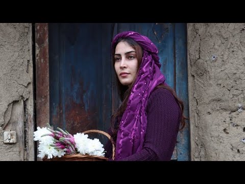 Flavored grilled wings with tandoori grilled rolls