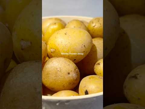 A quiet No Buy January for those who are tired to waste money 💵 #dailyminivlog #simpleliving