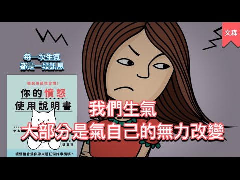 讓情緒更有價值｜《擺脫煩躁壞習慣！你的憤怒使用說明書》｜文森說書