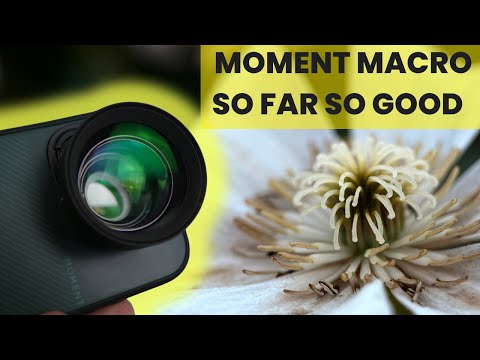 First Impressions on the Moment Macro 75 mm T-series - the first mobile lens I actually like!